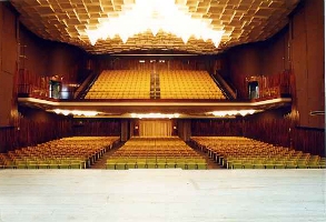 Teatro Nuovo, Dogana